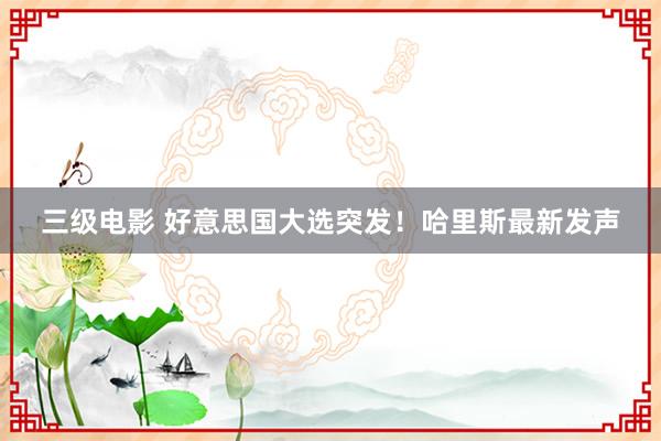 三级电影 好意思国大选突发！哈里斯最新发声