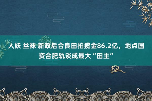 人妖 丝袜 新政后合良田拍揽金86.2亿，地点国资合肥轨谈成最大“田主”