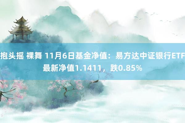 抱头摇 裸舞 11月6日基金净值：易方达中证银行ETF最新净值1.1411，跌0.85%