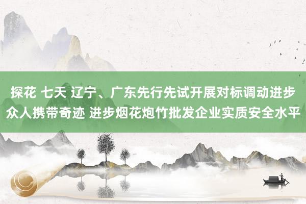 探花 七天 辽宁、广东先行先试开展对标调动进步众人携带奇迹 进步烟花炮竹批发企业实质安全水平