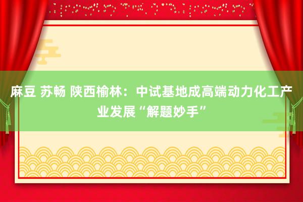 麻豆 苏畅 陕西榆林：中试基地成高端动力化工产业发展“解题妙手”