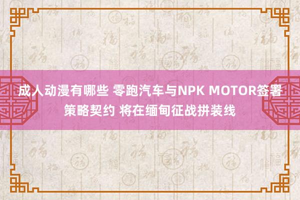 成人动漫有哪些 零跑汽车与NPK MOTOR签署策略契约 将在缅甸征战拼装线