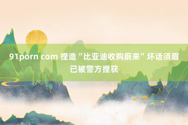 91porn com 捏造“比亚迪收购蔚来”坏话须眉已被警方捏获