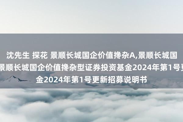 沈先生 探花 景顺长城国企价值搀杂A,景顺长城国企价值搀杂C: 景顺长城国企价值搀杂型证券投资基金2024年第1号更新招募说明书