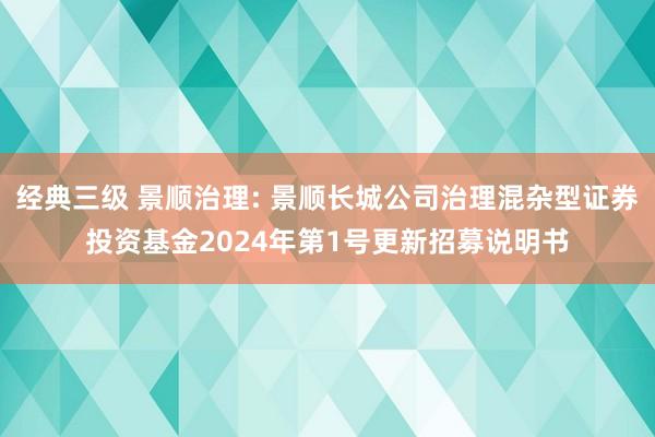 经典三级 景顺治理: 景顺长城公司治理混杂型证券投资基金2024年第1号更新招募说明书