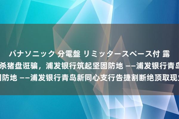 パナソニック 分電盤 リミッタースペース付 露出・半埋込両用形 扫视杀猪盘诳骗，浦发银行筑起坚固防地 ——浦发银行青岛新同心支行告捷割断绝顶取现业务