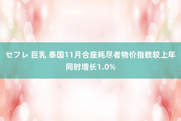 セフレ 巨乳 泰国11月合座耗尽者物价指数较上年同时增长1.0%