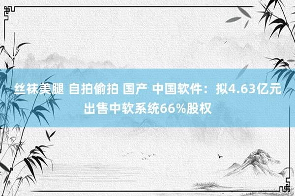 丝袜美腿 自拍偷拍 国产 中国软件：拟4.63亿元出售中软系统66%股权