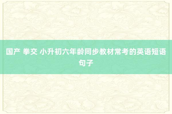 国产 拳交 小升初六年龄同步教材常考的英语短语句子