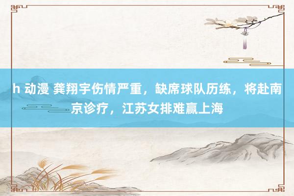 h 动漫 龚翔宇伤情严重，缺席球队历练，将赴南京诊疗，江苏女排难赢上海
