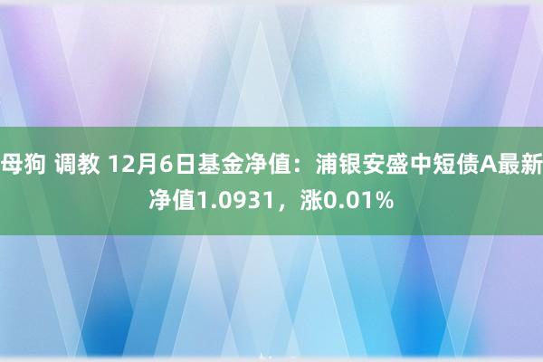 母狗 调教 12月6日基金净值：浦银安盛中短债A最新净值1.0931，涨0.01%