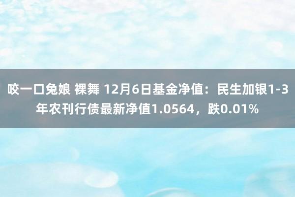 咬一口兔娘 裸舞 12月6日基金净值：民生加银1-3年农刊行债最新净值1.0564，跌0.01%