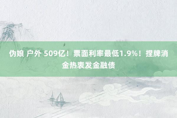 伪娘 户外 509亿！票面利率最低1.9%！捏牌消金热衷发金融债