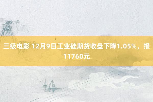 三级电影 12月9日工业硅期货收盘下降1.05%，报11760元