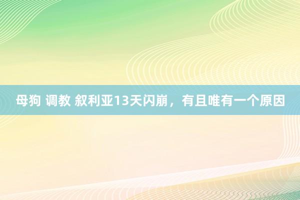母狗 调教 叙利亚13天闪崩，有且唯有一个原因