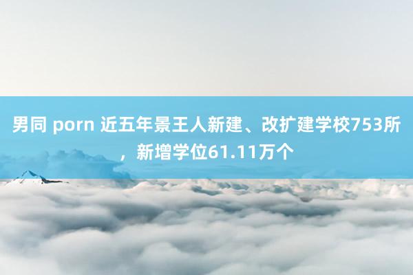 男同 porn 近五年景王人新建、改扩建学校753所，新增学位61.11万个
