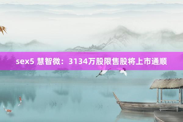 sex5 慧智微：3134万股限售股将上市通顺