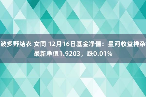 波多野结衣 女同 12月16日基金净值：星河收益搀杂最新净值1.9203，跌0.01%