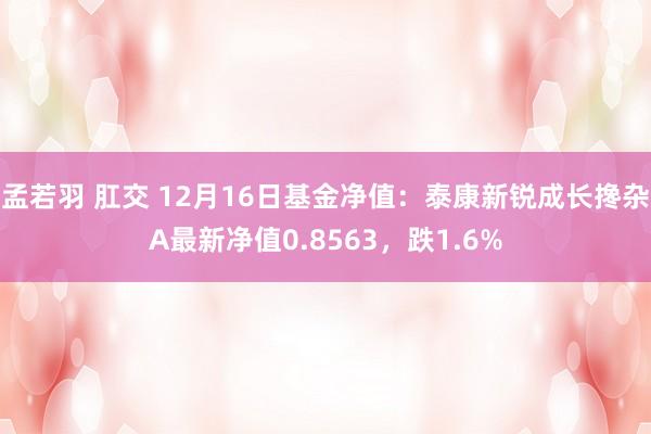 孟若羽 肛交 12月16日基金净值：泰康新锐成长搀杂A最新净值0.8563，跌1.6%