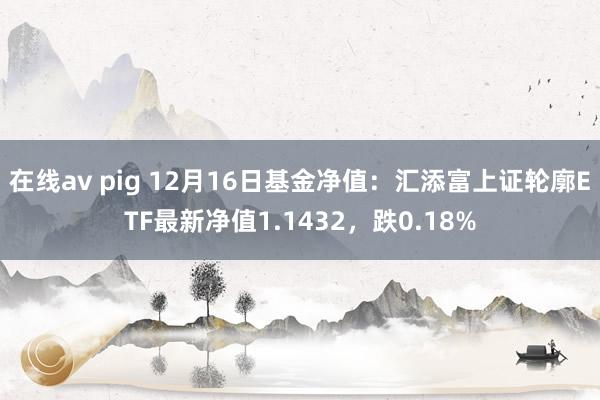 在线av pig 12月16日基金净值：汇添富上证轮廓ETF最新净值1.1432，跌0.18%