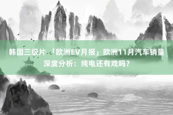 韩国三级片 「欧洲EV月报」欧洲11月汽车销量深度分析：纯电还有戏吗？
