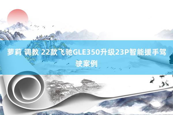 萝莉 调教 22款飞驰GLE350升级23P智能援手驾驶案例
