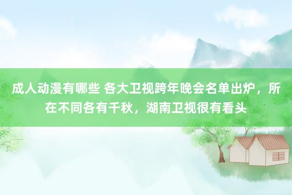 成人动漫有哪些 各大卫视跨年晚会名单出炉，所在不同各有千秋，湖南卫视很有看头
