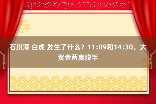 石川澪 白虎 发生了什么？11:09和14:30，大资金两度脱手