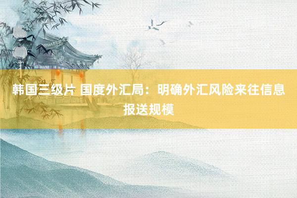 韩国三级片 国度外汇局：明确外汇风险来往信息报送规模