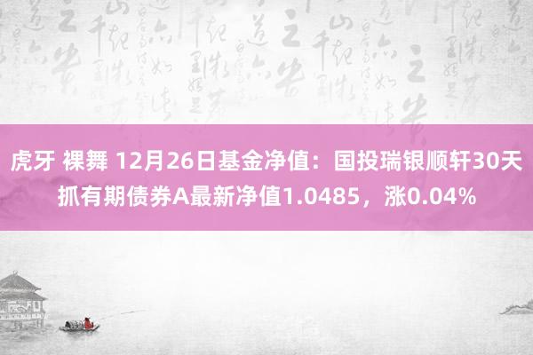 虎牙 裸舞 12月26日基金净值：国投瑞银顺轩30天抓有期债券A最新净值1.0485，涨0.04%