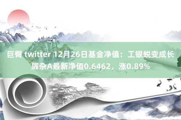巨臀 twitter 12月26日基金净值：工银蜕变成长羼杂A最新净值0.6462，涨0.89%