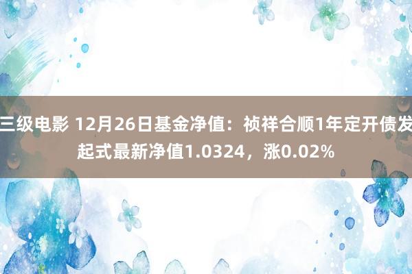 三级电影 12月26日基金净值：祯祥合顺1年定开债发起式最新净值1.0324，涨0.02%