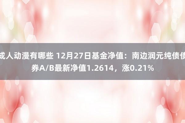成人动漫有哪些 12月27日基金净值：南边润元纯债债券A/B最新净值1.2614，涨0.21%
