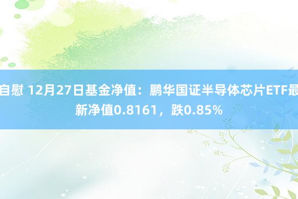 自慰 12月27日基金净值：鹏华国证半导体芯片ETF最新净值0.8161，跌0.85%