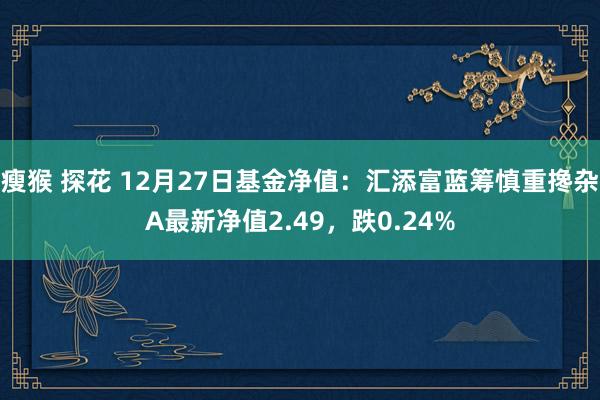 瘦猴 探花 12月27日基金净值：汇添富蓝筹慎重搀杂A最新净值2.49，跌0.24%
