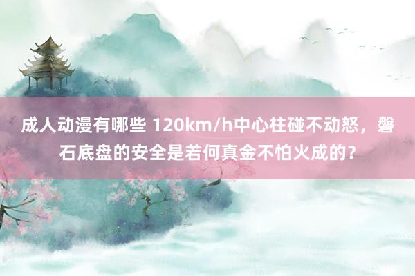 成人动漫有哪些 120km/h中心柱碰不动怒，磐石底盘的安全是若何真金不怕火成的？