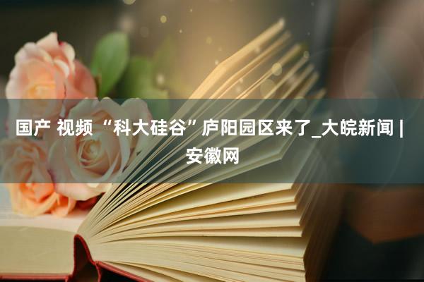 国产 视频 “科大硅谷”庐阳园区来了_大皖新闻 | 安徽网