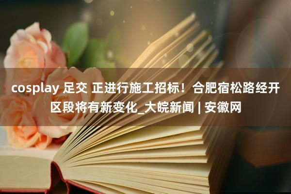 cosplay 足交 正进行施工招标！合肥宿松路经开区段将有新变化_大皖新闻 | 安徽网