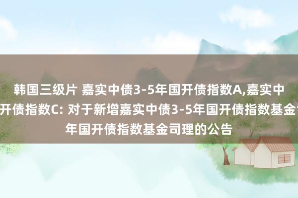 韩国三级片 嘉实中债3-5年国开债指数A，嘉实中债3-5年国开债指数C: 对于新增嘉实中债3-5年国开债指数基金司理的公告