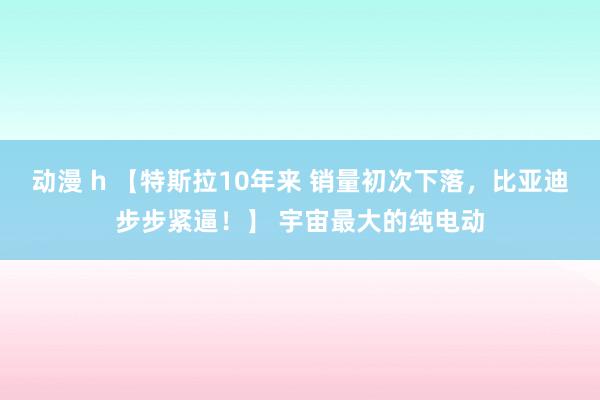 动漫 h 【特斯拉10年来 销量初次下落，比亚迪步步紧逼！】 宇宙最大的纯电动