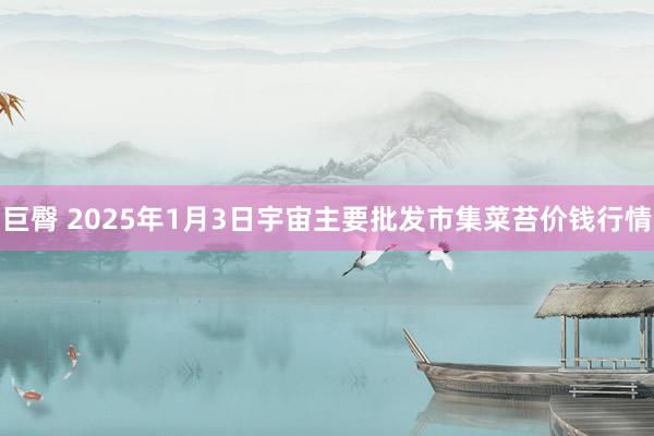 巨臀 2025年1月3日宇宙主要批发市集菜苔价钱行情