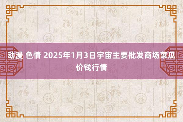 动漫 色情 2025年1月3日宇宙主要批发商场菜瓜价钱行情