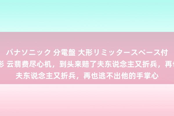 パナソニック 分電盤 大形リミッタースペース付 露出・半埋込両用形 云翡费尽心机，到头来赔了夫东说念主又折兵，再也逃不出他的手掌心