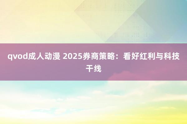 qvod成人动漫 2025券商策略：看好红利与科技干线