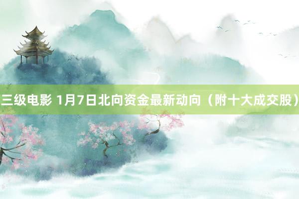 三级电影 1月7日北向资金最新动向（附十大成交股）