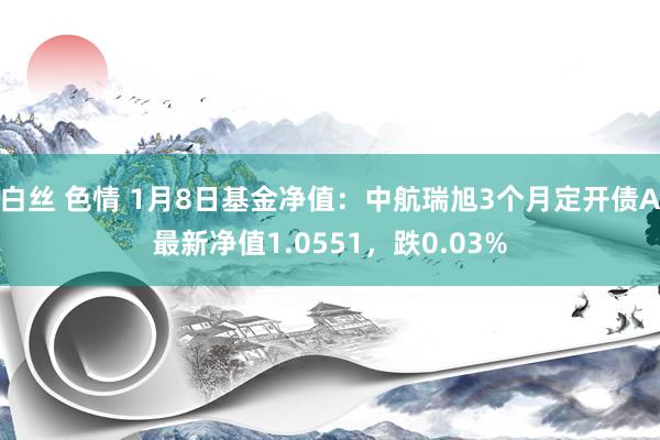 白丝 色情 1月8日基金净值：中航瑞旭3个月定开债A最新净值1.0551，跌0.03%