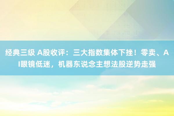 经典三级 A股收评：三大指数集体下挫！零卖、AI眼镜低迷，机器东说念主想法股逆势走强