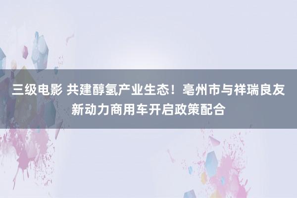 三级电影 共建醇氢产业生态！亳州市与祥瑞良友新动力商用车开启政策配合