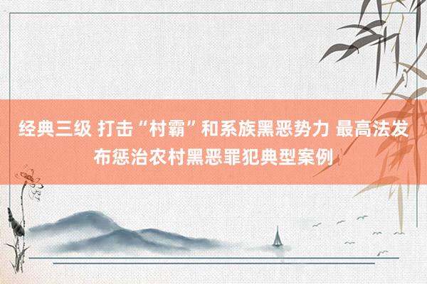 经典三级 打击“村霸”和系族黑恶势力 最高法发布惩治农村黑恶罪犯典型案例