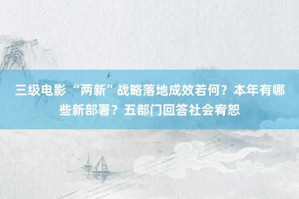 三级电影 “两新”战略落地成效若何？本年有哪些新部署？五部门回答社会宥恕